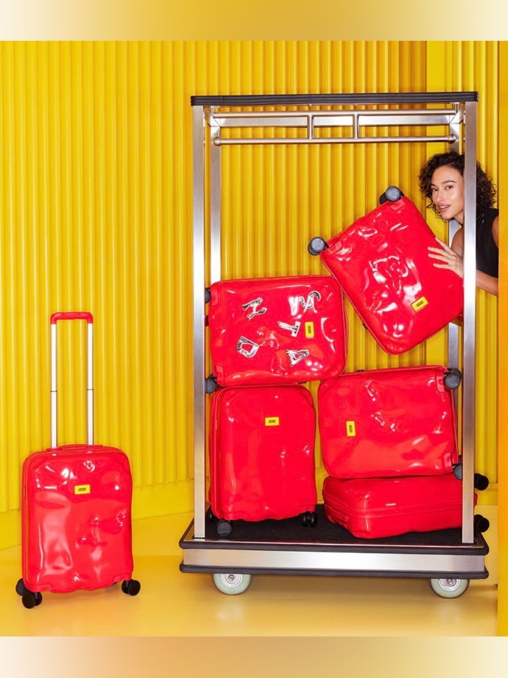🆕 Crash Baggage x The Standard, Carry On